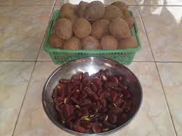 معرفی و راهنمای پرورش درختان میوه - کِپِل